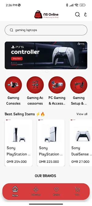 NS Online Screenshot 0