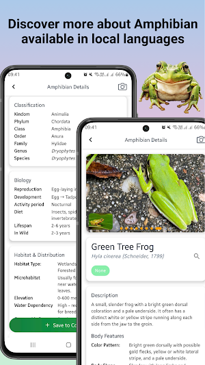 Frog identifier Screenshot 1