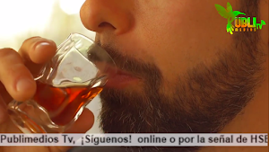Publimedios TV Screenshot 2