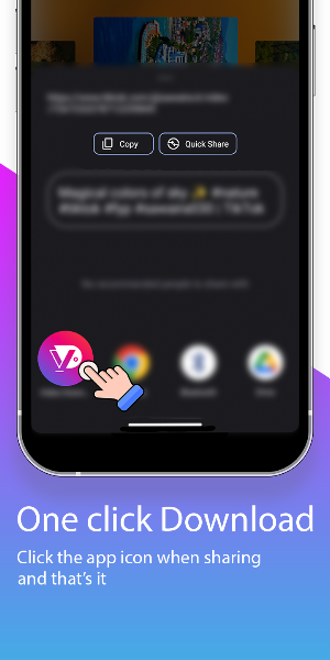 Video Downloader & Story Saver Screenshot 1