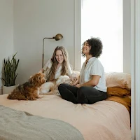 Pets Wallpapers