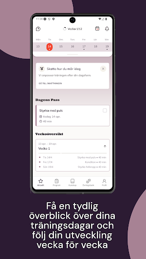 Femmefysio Screenshot 3