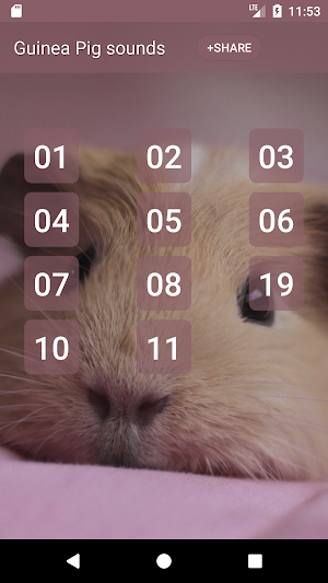 Guinea Pig sounds Screenshot 0