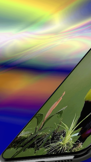 Toucan Wallpaper 4K Screenshot 0