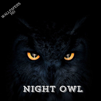 Night Owl Wallpapers HD