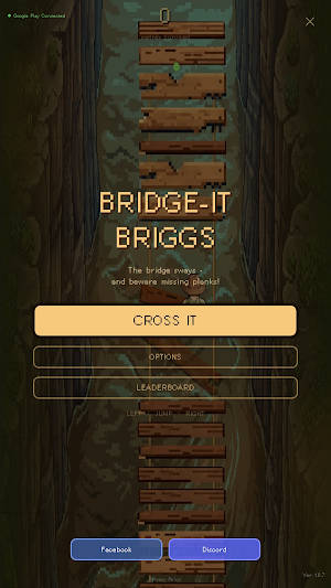 Bridge-It Briggs Screenshot 0