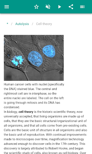 Cytology Screenshot 2