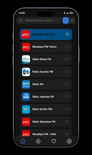 Radio Tunisia Lite Screenshot 1
