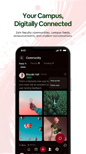 Oyoyo Screenshot 3