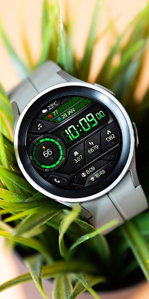 OBSERVER WS01 Watch face Screenshot 3