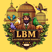 Lalukhet Birds Market