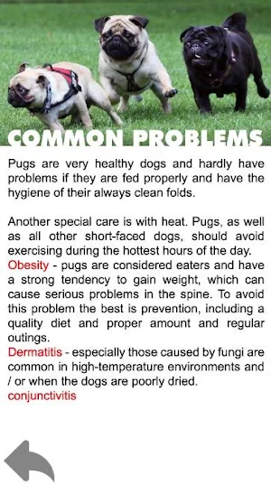 Pug - Pocket Guide Screenshot 2