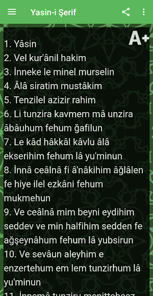 Yasin-i Şerif - İnternetsiz Yasin Suresi Screenshot 3