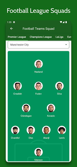 All Football Leagues Live Screenshot 2