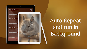 Chinchilla Sounds Screenshot 2