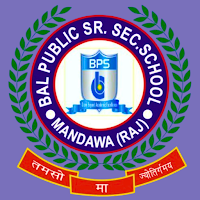 Bal Public School