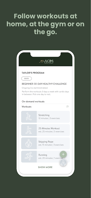 AOM Training Screenshot 2