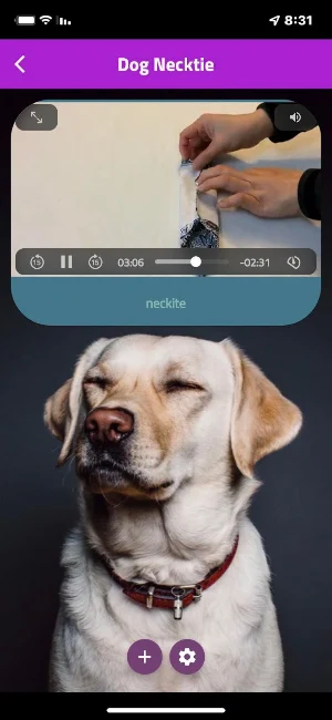luxury dog accessories Screenshot 3