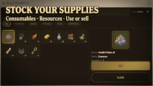 Guild Manager: Medieval Screenshot 2