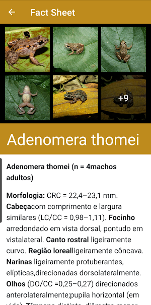 Anfíbios do Quadrilátero Screenshot 3