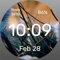 Nature Macro - Watch Face