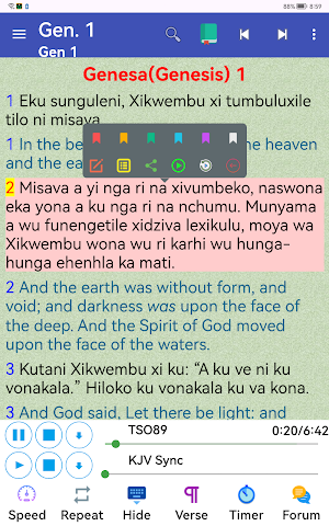 Xitsonga English Audio Bible Screenshot 0