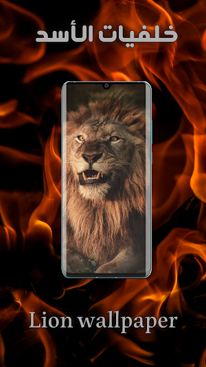 اجمل صور اسد - خلفية الأسد HD Screenshot 2