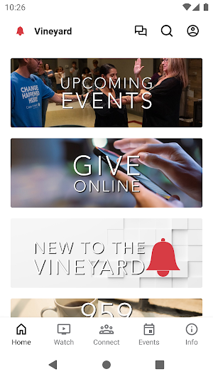 Cape Vineyard Screenshot 0