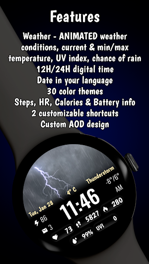 Weather Animated Pro Screenshot 2