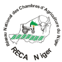 ReCA