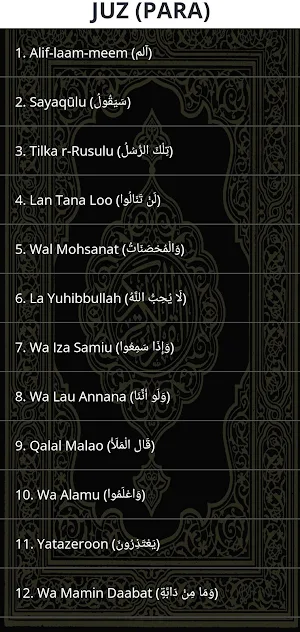 Hifz/Hafizi Quran-15 Lines Screenshot 2