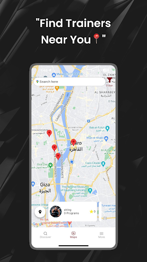 PT-Finder Screenshot 2
