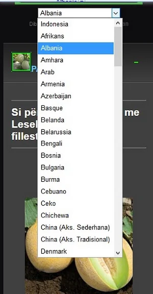 how to plant melons Screenshot 3