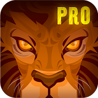 Lion Run +