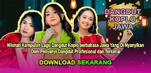 Dangdut Koplo Jawa Offline Screenshot 0