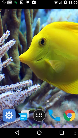 coral fish live wallpaper Screenshot 1