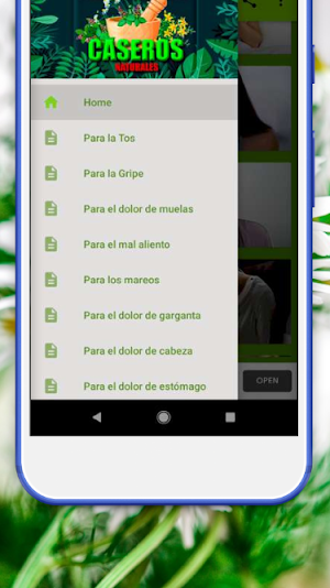 Remedios Caseros Naturales Screenshot 3