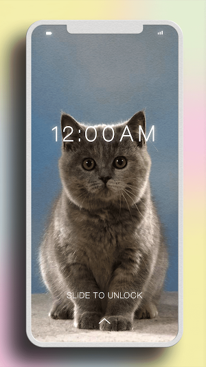 Cat Cute Wallpaper Screenshot 3
