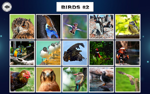 IMAGEine Expansion Pack 1 screenshot 8