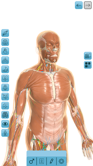 VITA 3D Screenshot 0