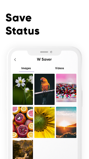 Video Downloader - Fast Download Videos And Photo Screenshot 3