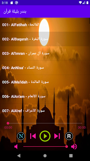 بندر بليلة قرأن كريم كاملاً بصوت نقى بدون إنترنت Screenshot 1