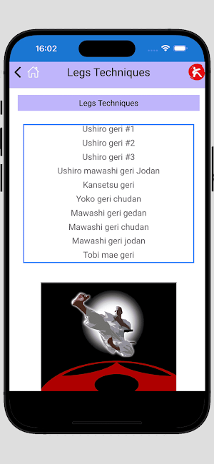 iBudokan Kyokushinkai Screenshot 3