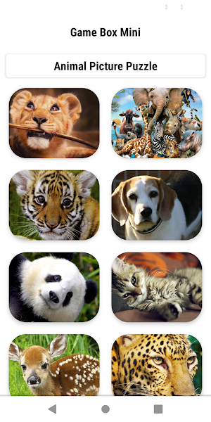 Jigsaw Puzzle Master 2021 Screenshot 1