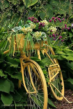 Giant Bicycle Wallpapers Screenshot 0