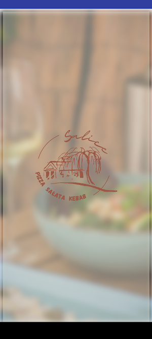 Salice Screenshot 3