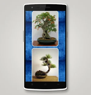 Bonsai Design Inspiration Screenshot 1