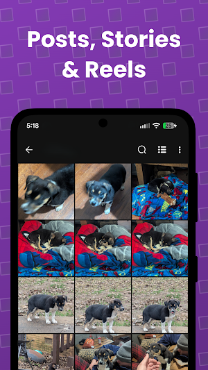 InSave: FastDl Gram Downloader Screenshot 3
