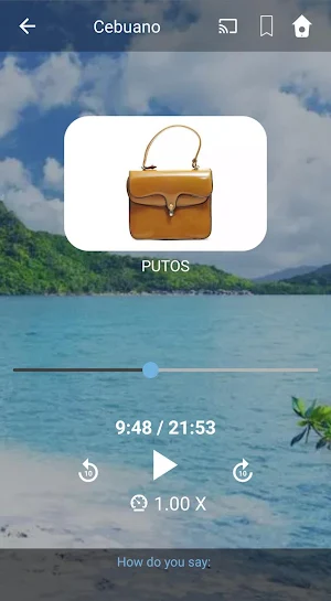 Learn Cebuano. Speak Cebuano. Study Cebuano. Screenshot 3