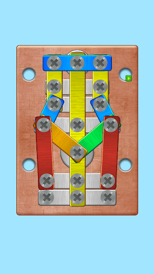 Nuts & Bollt: Tapping Puzzle Screenshot 0